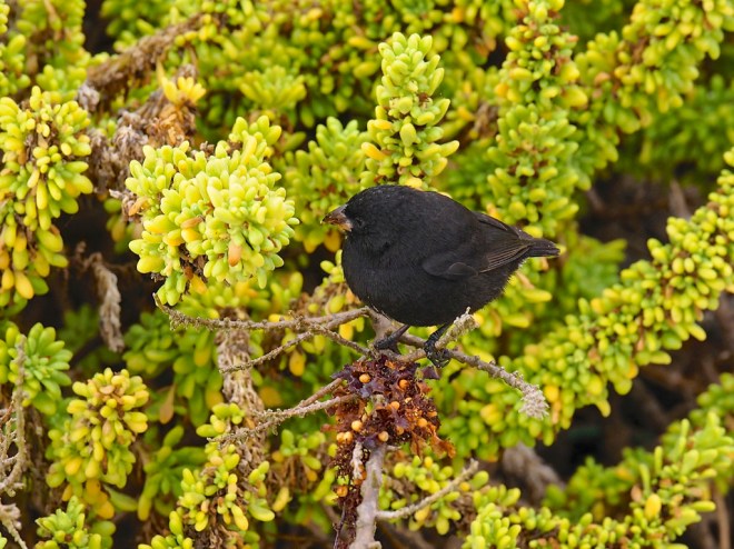 rcp_20131119_151535_d