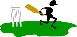 Cricket1