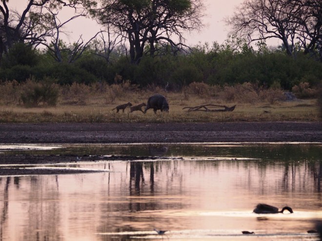 rcp_20140925_172954_d