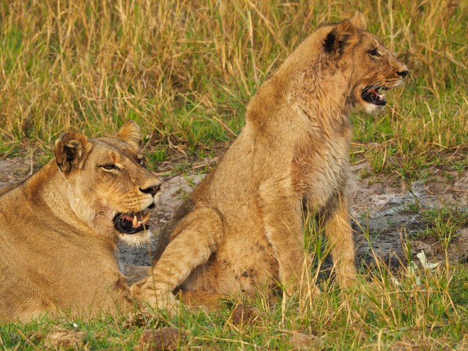 rcp_20140929_155813_d