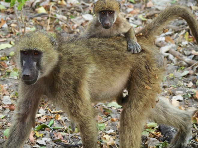 rcp_20140929_134323_d