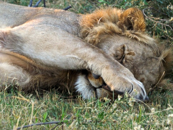 rcp_20140925_165337_d