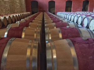 Barrels at Pontet Canet
